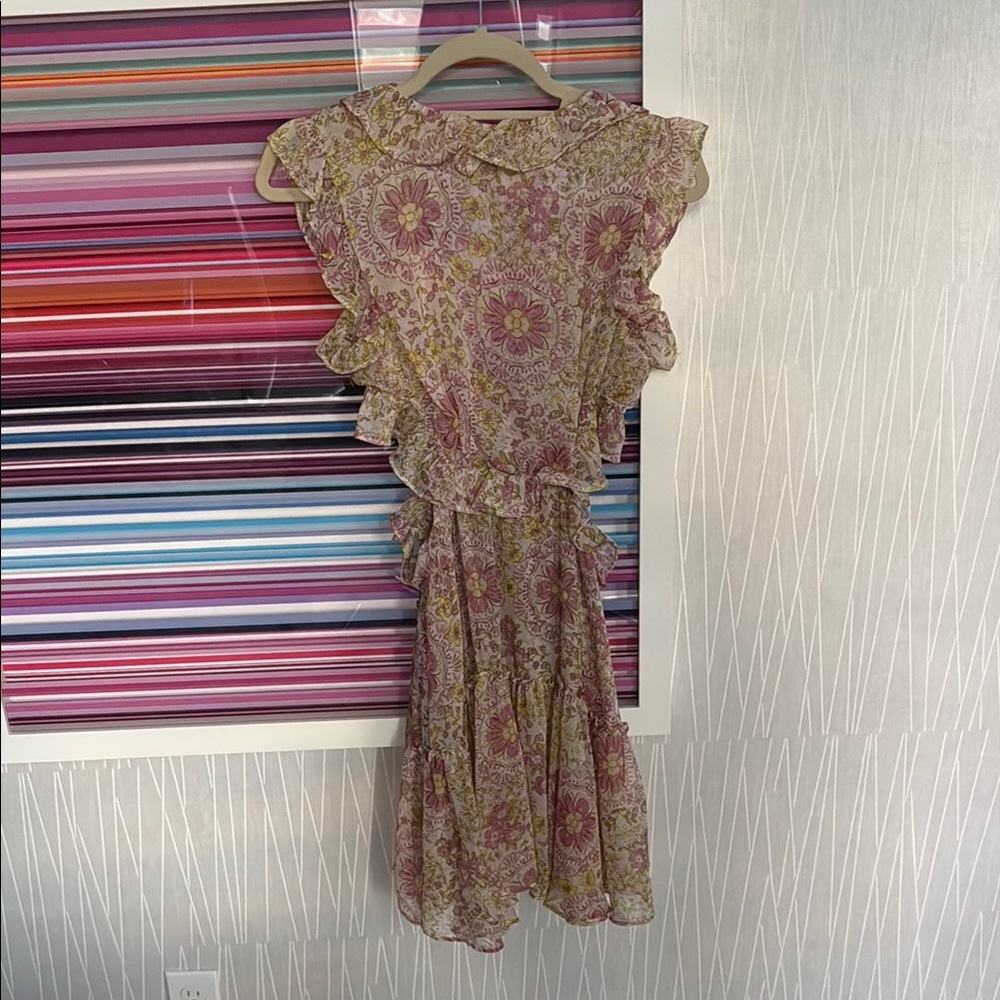 MISA Los Angeles Floral Ruffle Mini Dress in Pink - Picture 3 of 5